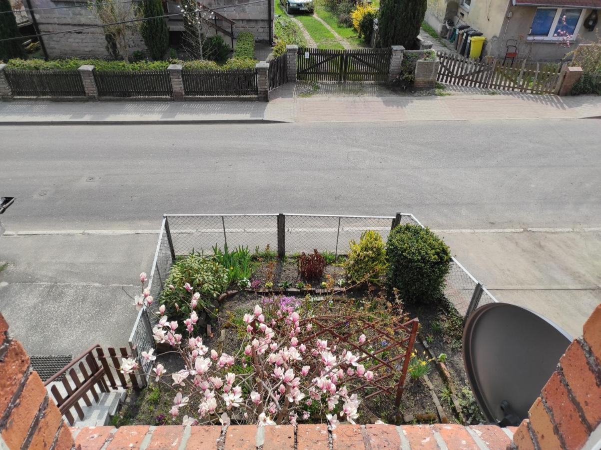 Apartament Pod Jalowcem Gory Sowie 533-543-732 Jedlina-Zdroj Exterior photo